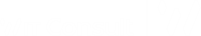 WIT CONSULT Logo